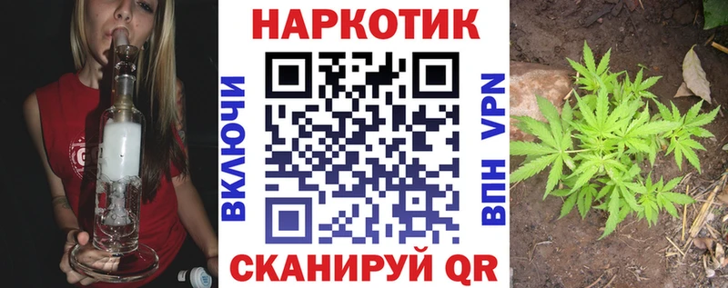 Виды наркотиков купить Красногорск Каннабис  A PVP  ГАШИШ  АМФЕТАМИН  КОКАИН 