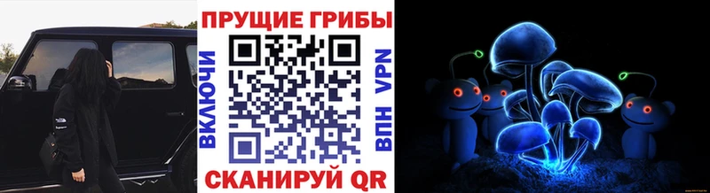 где найти наркотики  Красногорск  Галлюциногенные грибы MAGIC MUSHROOMS 