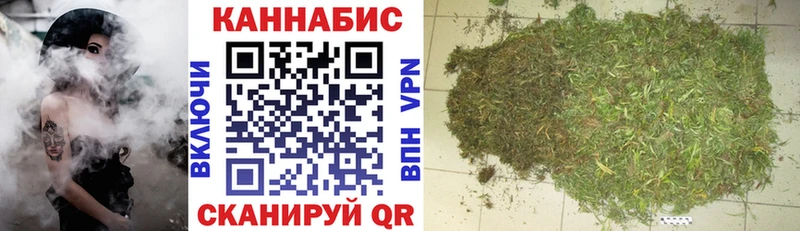 Каннабис сатива  Красногорск 